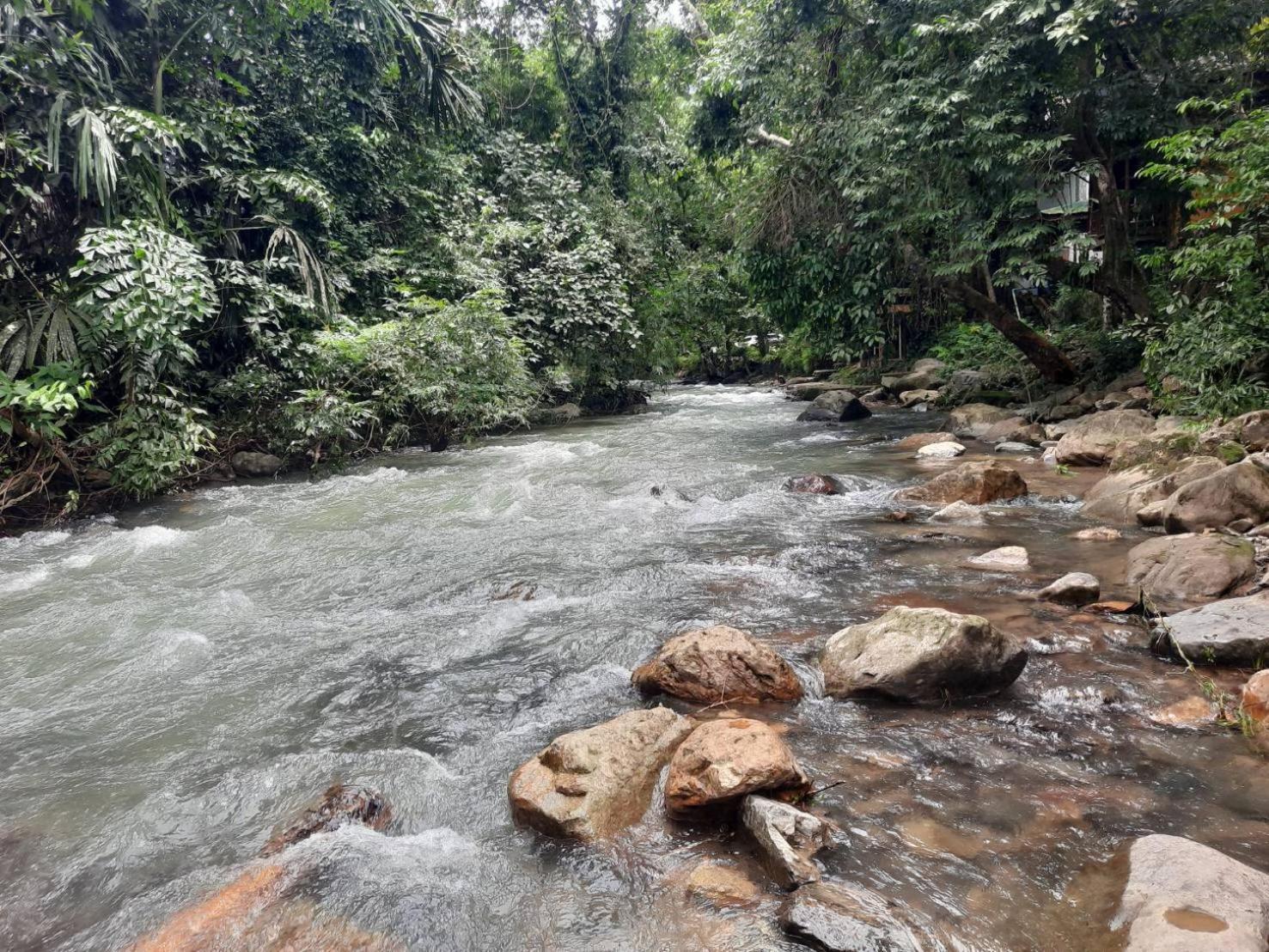Tree Tops River Huts Khao Sok National Park 외부 사진