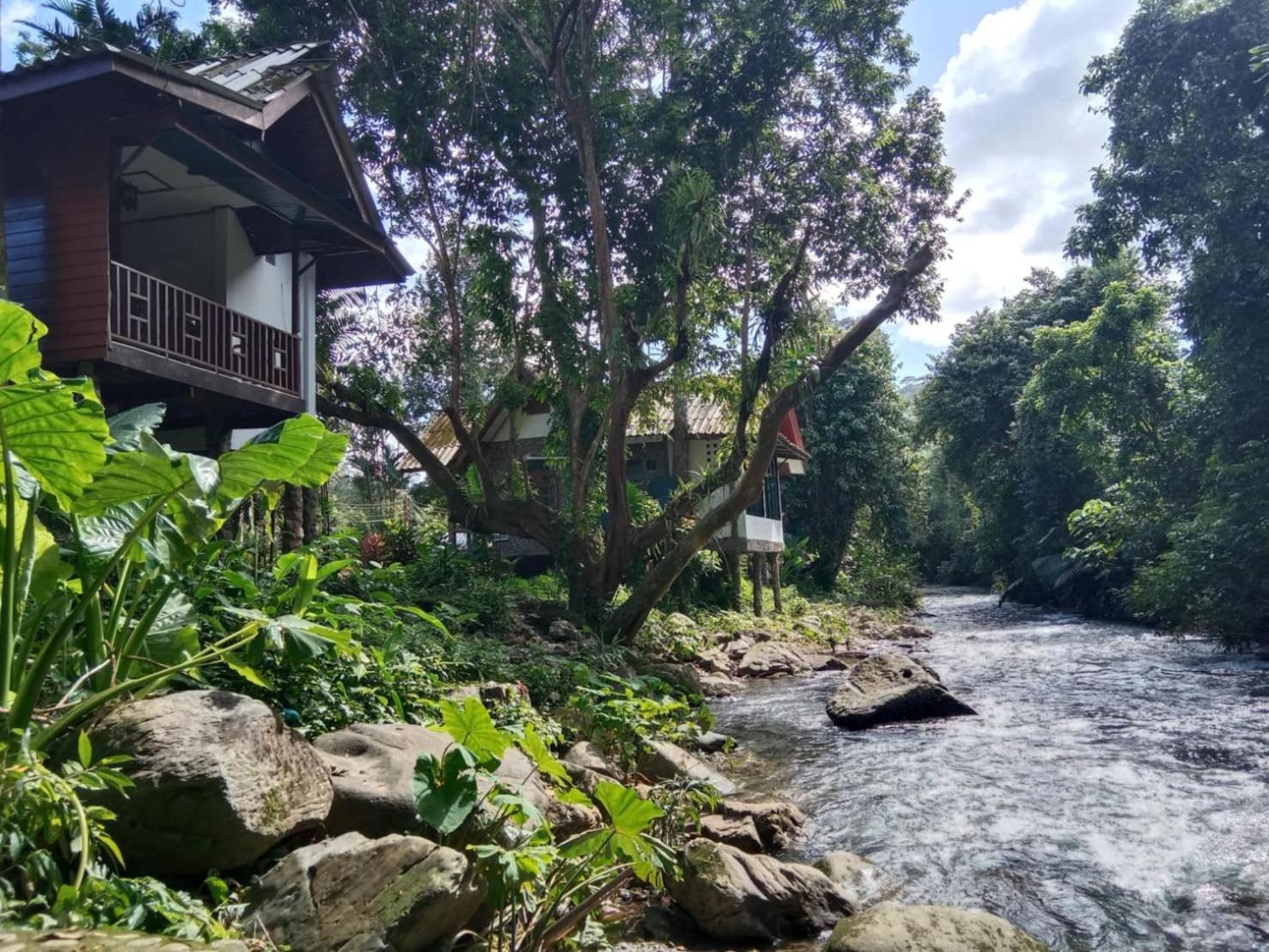 Tree Tops River Huts Khao Sok National Park 외부 사진